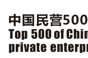中国民营企业500强-数字化转型网www.szhzxw.cn