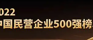2022中国民营企业500强-数字化转型网www.szhzxw.cn