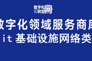 it基础设施网络类—数字化转型网www..szhzxw.cn