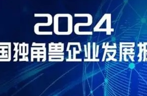 2024中国独角兽企业榜单-数字化转型网www.szhzxw.cn