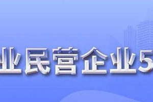 中国制造业民营企业500强-数字化转型网www.szhzxw.cn