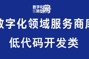 低代码开发类—数字化转型网www.szxhzxw.cn