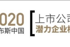 2020福布斯中国上市公司潜力企业榜-数字化转型网www.szhzxw.cn