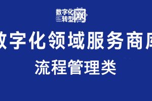 流程管理类—数字化转型网www.szhzxw.cn