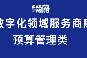 预算管理类—数字化转型网www.szhzxw.cn
