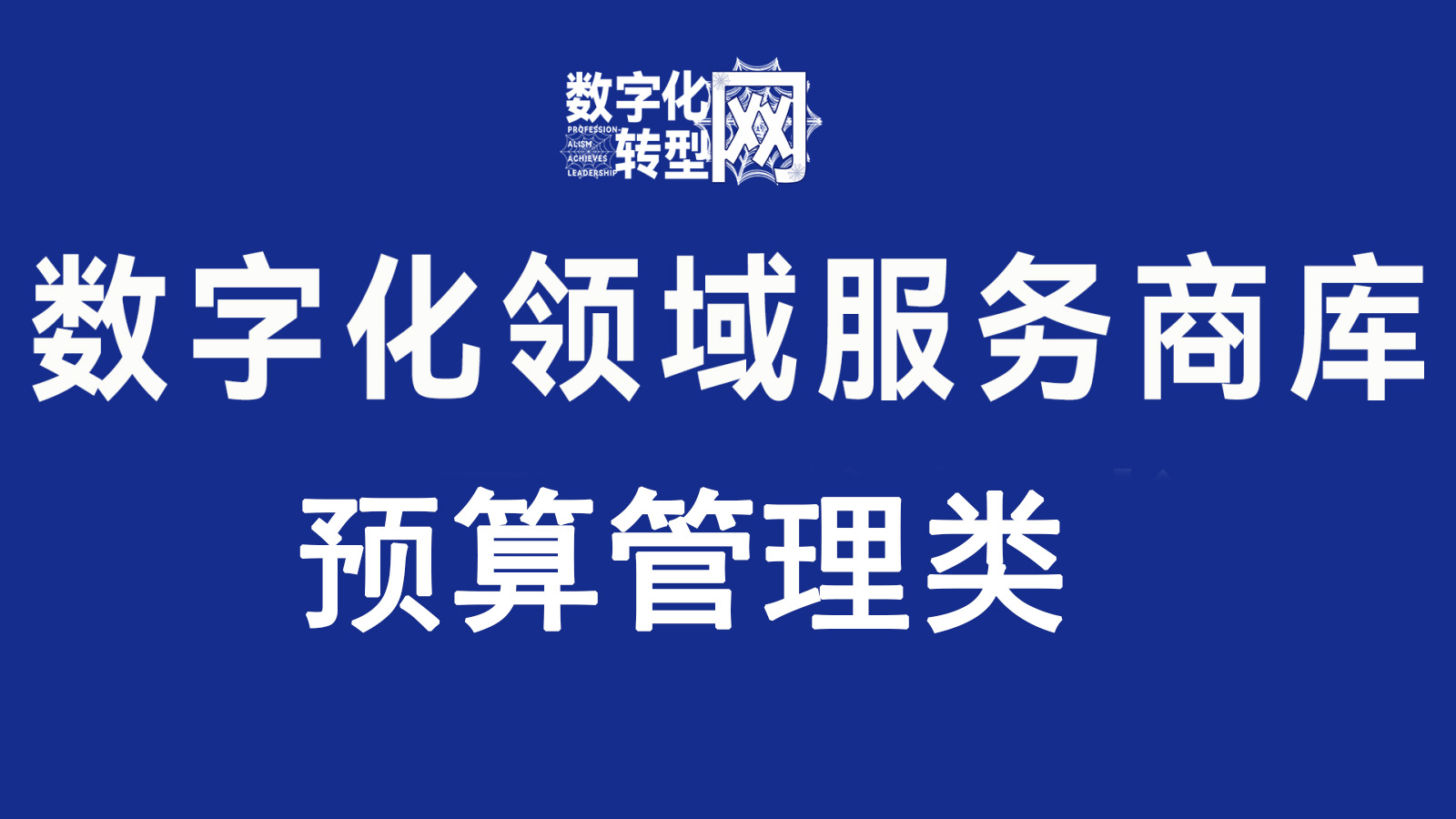 预算管理类—数字化转型网www.szhzxw.cn