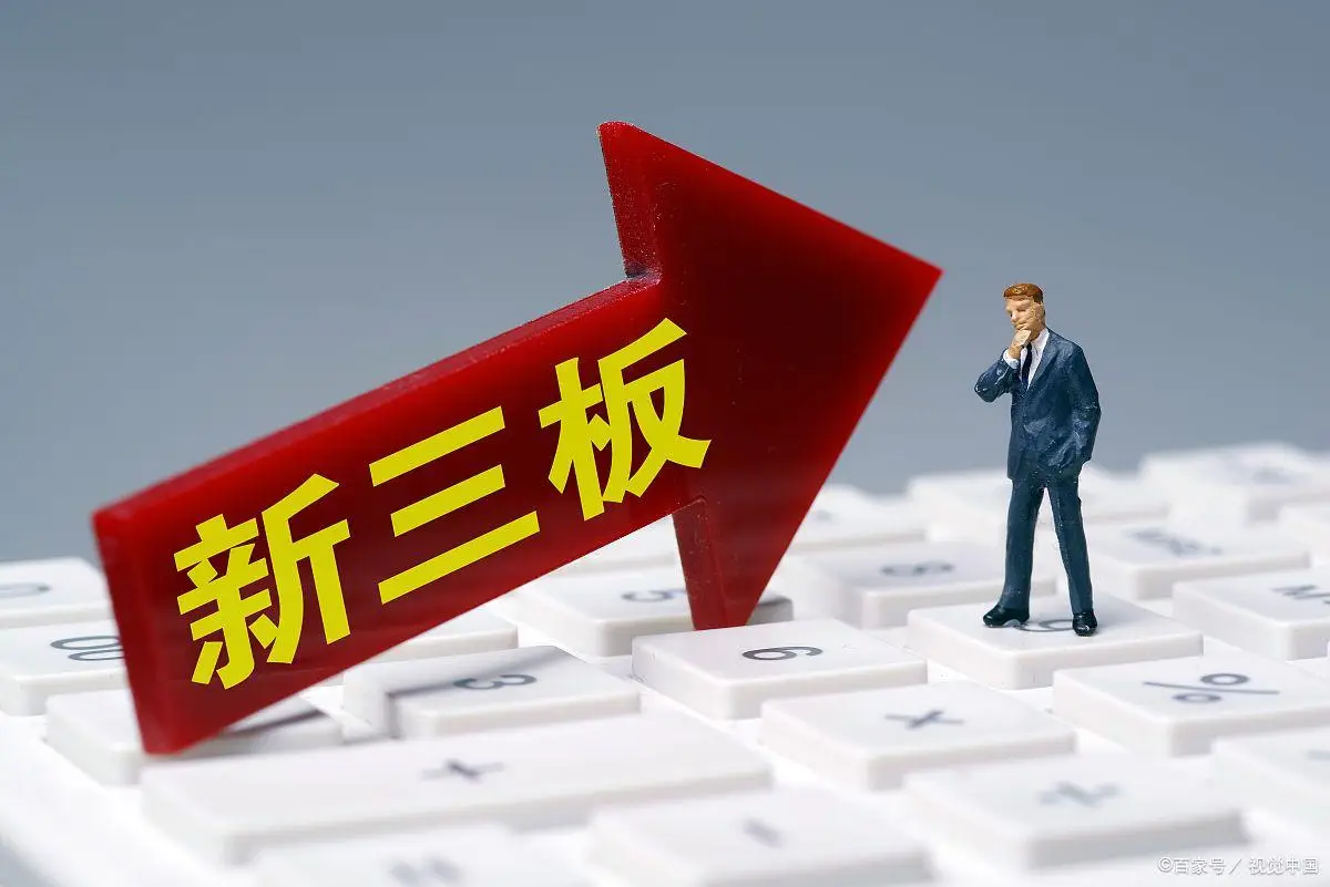 中国新三板企业融资能力榜—数字化转型网www.szhzxw.cn