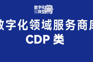 CDP类——数字化转型网www,szhzxw,cn