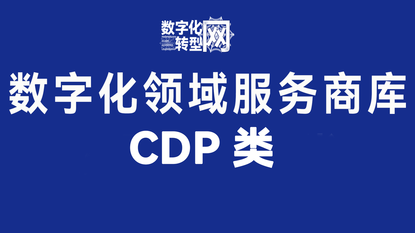 CDP类——数字化转型网www,szhzxw,cn