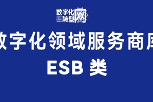 ESB类——数字化转型网www.szhzxw.cn
