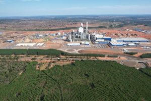 新浆厂驱动增长 书赞桉诺2025年第二季度业绩表现强劲-数字化转型网www.szhzxw.cn