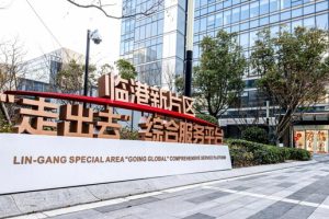 "护航者计划"专题培训在临港新片区"走出去"综合服务平台落地-数字化转型网www.szhzxw.cn