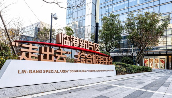 "护航者计划"专题培训在临港新片区"走出去"综合服务平台落地-数字化转型网www.szhzxw.cn