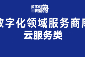 云服务类——数字化转型网www.szhzxw.cn