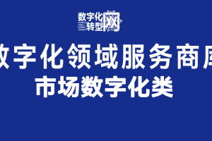 市场数字化类——数字化转型网www.szhzxw.cn