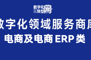 电商及电商ERP——数字化转型网www.szhzxw.cn