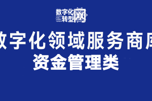 资金管理类——数字化转型网www.szhzxw.cn