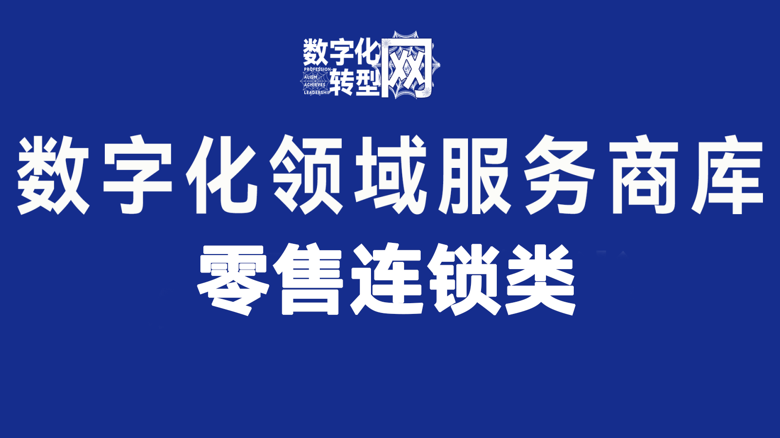 零售连锁类——数字化服务商库——数字化转型网www.szhzxw.cn
