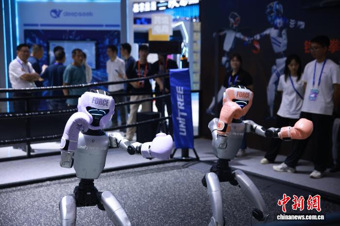 第四届全球数贸会“探馆”：解锁AI新未来—数字化转型网www.szhzxw.cn