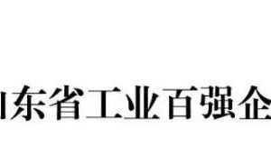 2024山东省工业百强企业—数字化转型网www.szhzxw.cn