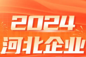 2024河北企业100强—数字化转型网www.szhzxw.cn