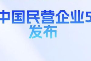 2025中国民营企业 500 强—数字化转型网www.szhzxw.cn