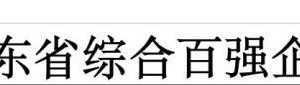 2024山东省综合百强企业—数字化转型网www.szhzxw.cn