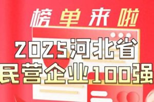 2025河北省民营企业发明专利100强—数字化转型网www.szhzxw.cn