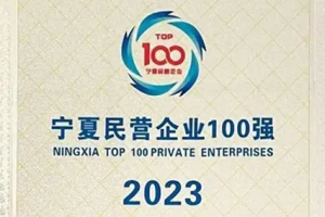 2023宁夏民营企业100强