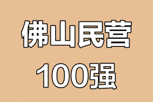 佛山民营企业100强