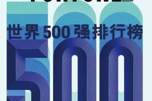 2024《财富》中国500强—数字化转型网www.szhzxw.cn