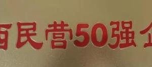 陕西民营企业50强