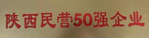 陕西民营企业50强