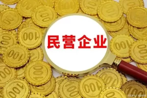 2022江西民营企业100强—数字化转型网www.szhzxw.cn