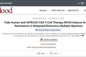 国际顶级期刊《Blood》发表驯鹿生物靶向GPRC5D CAR-T产品RD118用于治疗复发难治性多发性骨髓瘤研究成果—数字化转型网www.szhzxw.cn