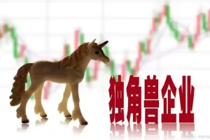 2023年中国独角兽企业排行榜—数字化转型网www.szhzxw.cn