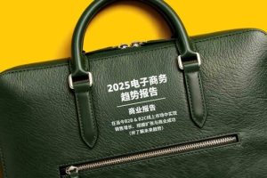 DHL发布首份全球电商商业报告：人工智能、社交电商与可持续发展引领2025趋势—数字化转型网www.szhzxw.cn