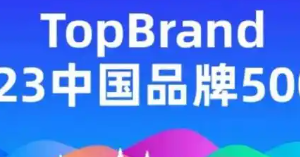 2023中国品牌专家500强—数字化转型网www.szhzxw.cn