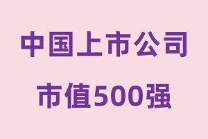 中国上市公司市值500强—数字化转型网www.szhzxw.cn