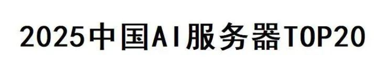 2025中国AI服务器Top20—数字化转型网www.szhzxw.cn