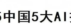 2025中国5大AI搜索—数字化转型网www.szhzxw.cn