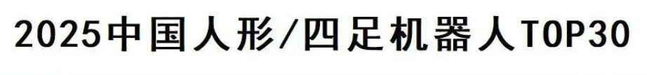 2025中国人形机器人TOP30—数字化转型网www.szhzxw.cn