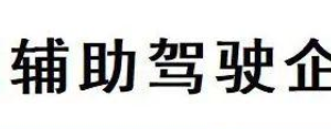 2025中国辅助驾驶企业TOP30—数字化转型网www.szhzxw.cn