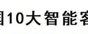 2025中国10大智能客服企业—数字化转型网www.szhzxw.cn