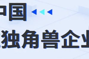 2024中国新经济独角兽企业TOP100—数字化转型网www.szhzxw.cn