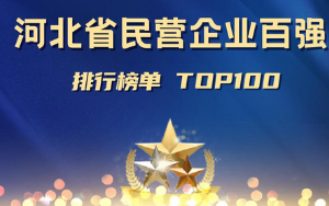 2022河北省民营企业100强—数字化转型网www.szhzxw.cn