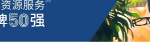 2022年度最具竞争力人力资源服务品牌50强—数字化转型网www.szhzxw.cn