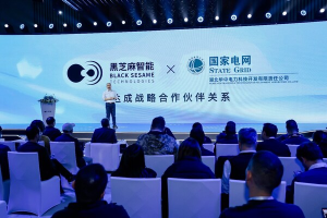 黑芝麻智能与华中电力科技达成战略合作，共推电力行业智能化革新——数字化转型网www.szhzxw.cn