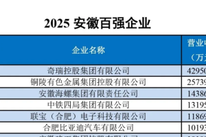 2025安徽百强企业——数字化转型网www.szhzxw.cn