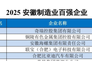 2025 安徽百强企业——数字化转型网www.szhzxw.cn